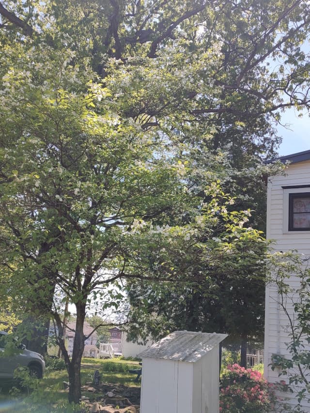 Outside